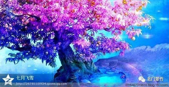 火出圈，这些南京网红墙你打卡过几个？